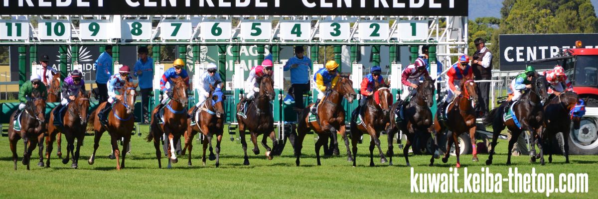 kuwait.keiba-thetop.com